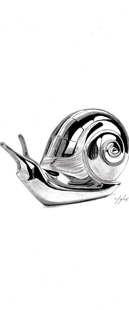 Shiny snail by Amelia Taylor