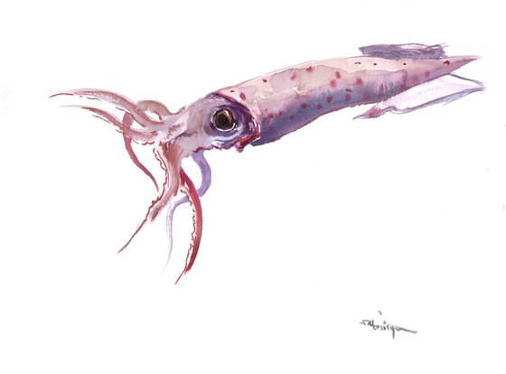 Squid