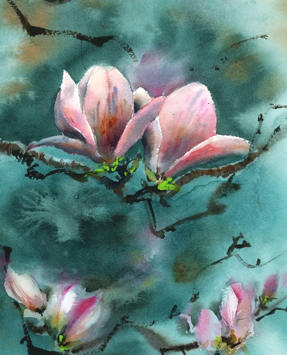 Magnolia