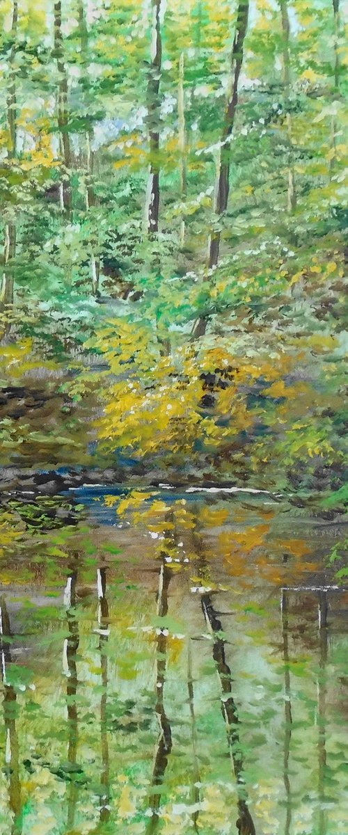 Woodland Reflections by Rod Bere