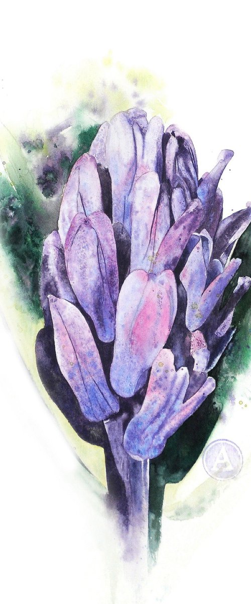 The Most Honourable Hyacinth by Alona Hryn