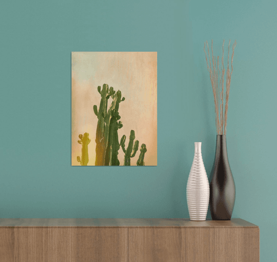 Cactus glow