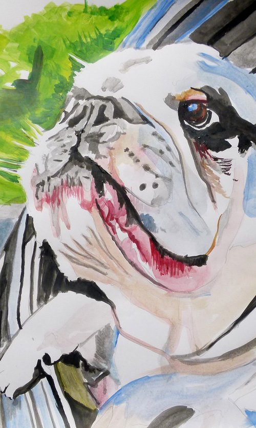 Bulldog by Soso Kumsiashvili