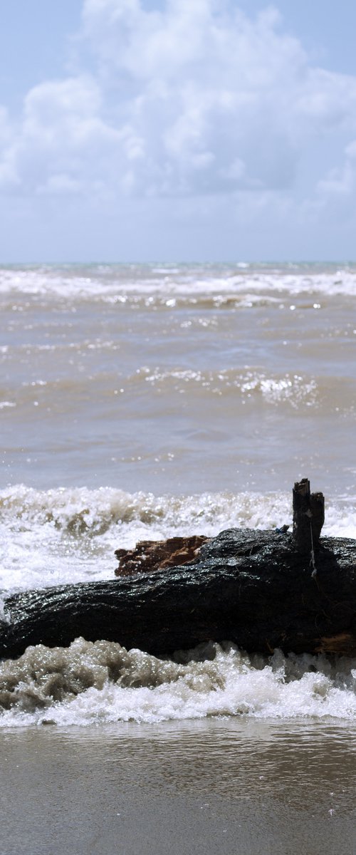 Wood in the sea no.9 by Mattia Paoli