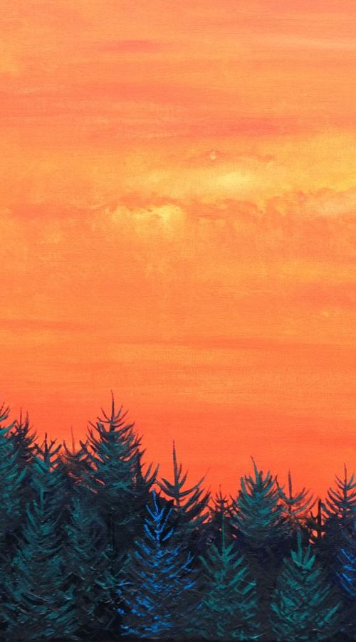 Sunset Firs by Lucy Smerdon