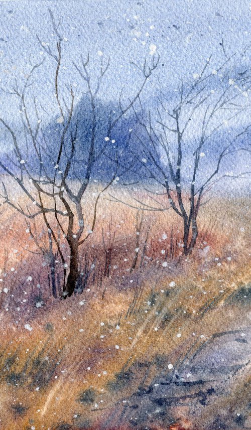 First Snow of December by SVITLANA LAGUTINA