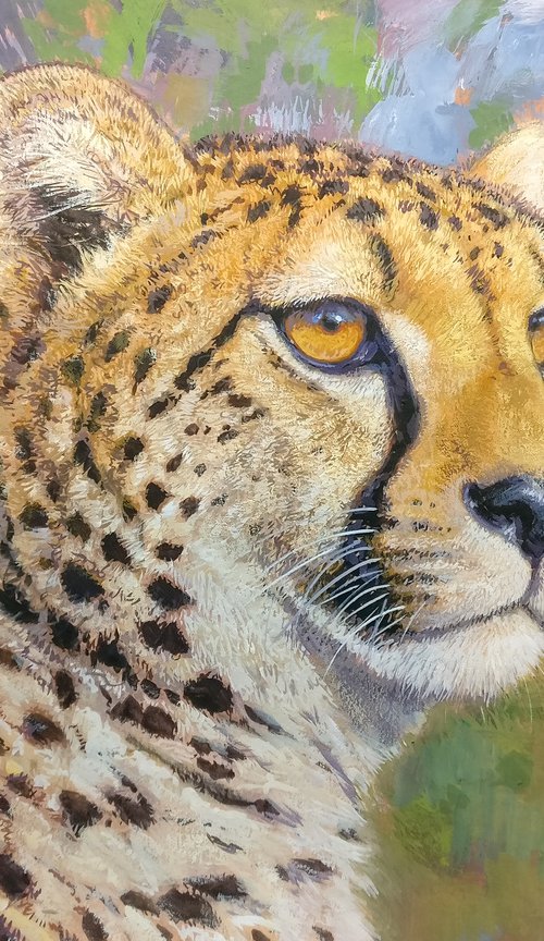 Cheetah by Gabriel Hermida