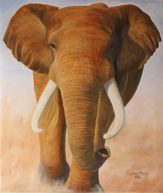 Elephant - Wildlife Oil Painting