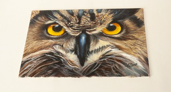 "Owl's Gaze — Golden Eyes That Hypnotize"