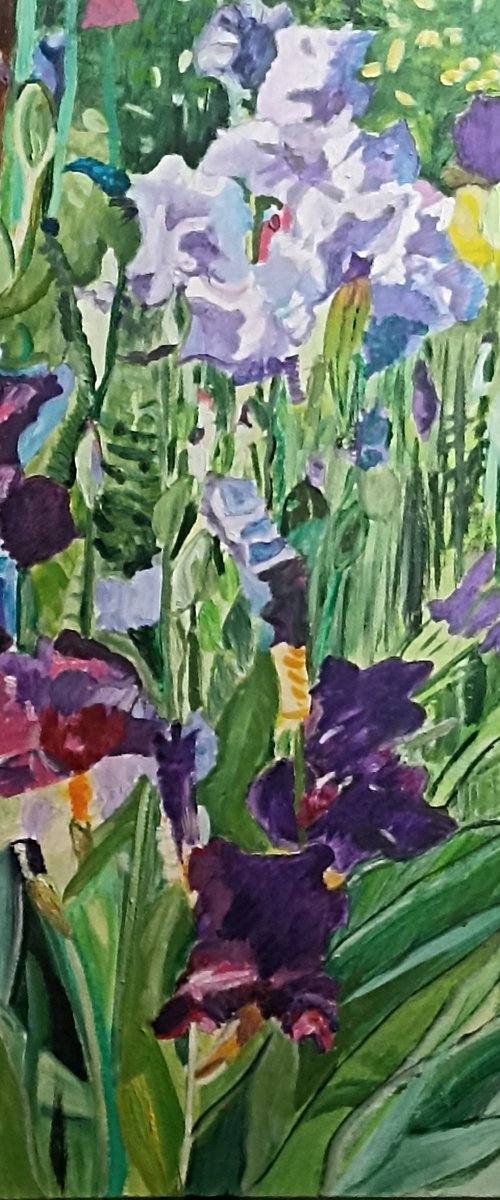 Irises flowers by Isabelle Lucas