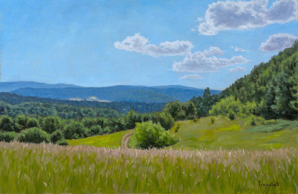 Impressionistic Landscape Oil Painting By Dejan Trajkovic, 30 X 22, Meadow On The Mountain, Original Artwork