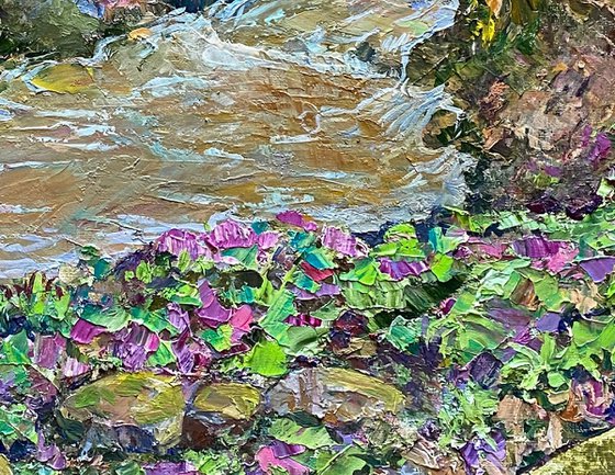 Springs of a mountain stream