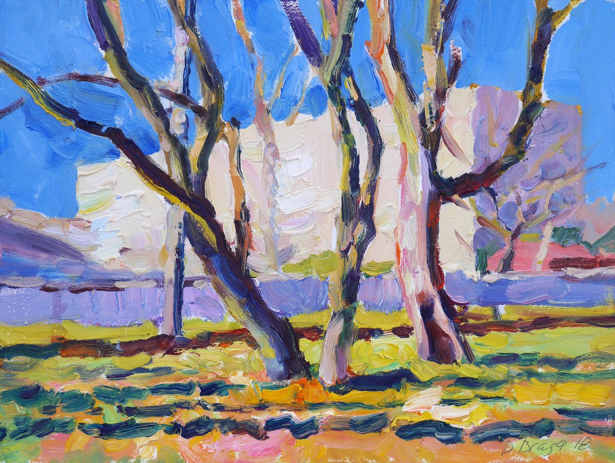 Impressionistic Landscape Oil Painting By Dima Braga, 16 X 12, Autumn Urban Landscape, Original Artwork