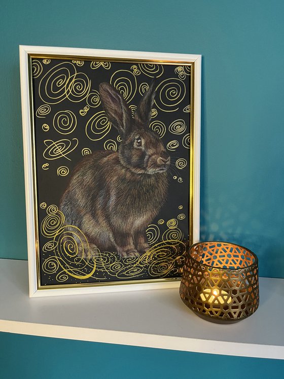 Brown rabbit