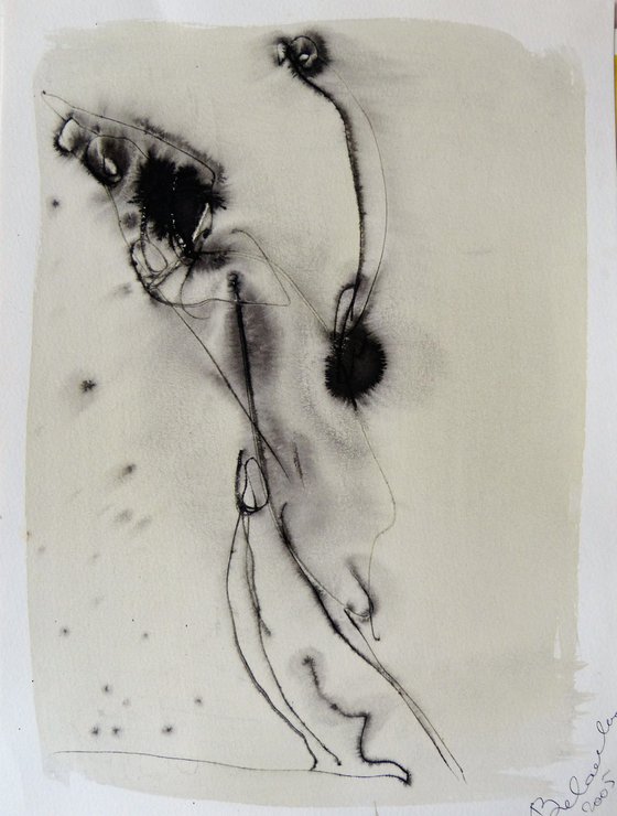 TRANSFIGURE E1