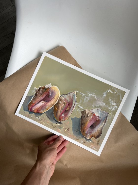 Seashells Original Oil painting