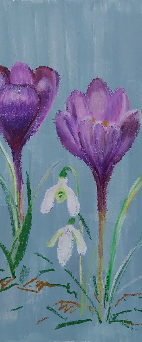 Oil pastel drawing of spring flowers "Crocuses", 2024 by Olena Kolotova