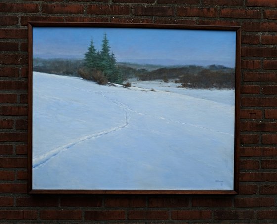 Snowlandscape