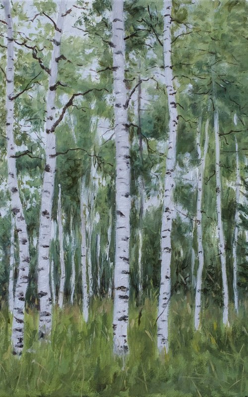 Birch Forest by Dejan Trajkovic
