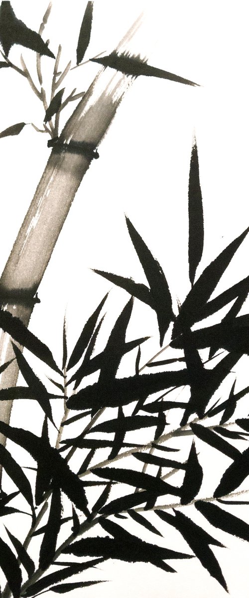 Dense bamboo thickets  - Bamboo series No. 2116 - Oriental Chinese Ink Painting by Ilana Shechter