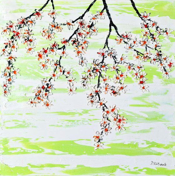 Cherries in the spring 2