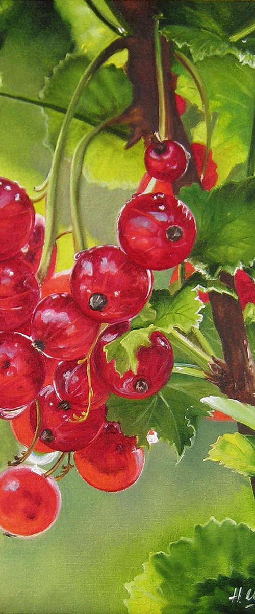 Redcurrants by Natalia Shaykina