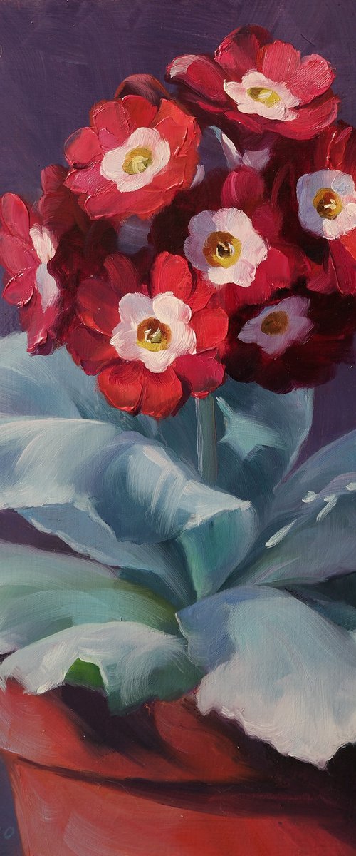 "Primrose" by Lena Vylusk