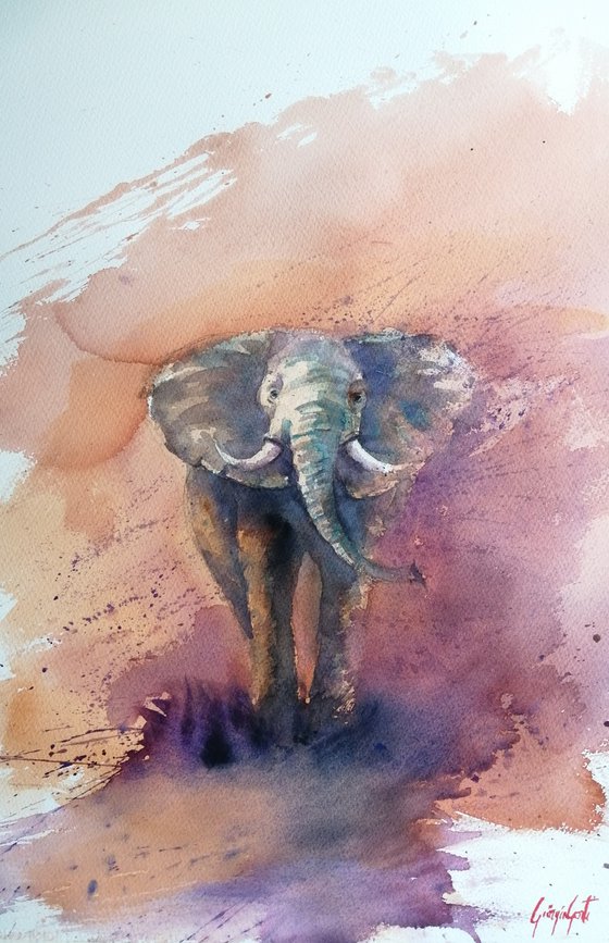 elephant 8