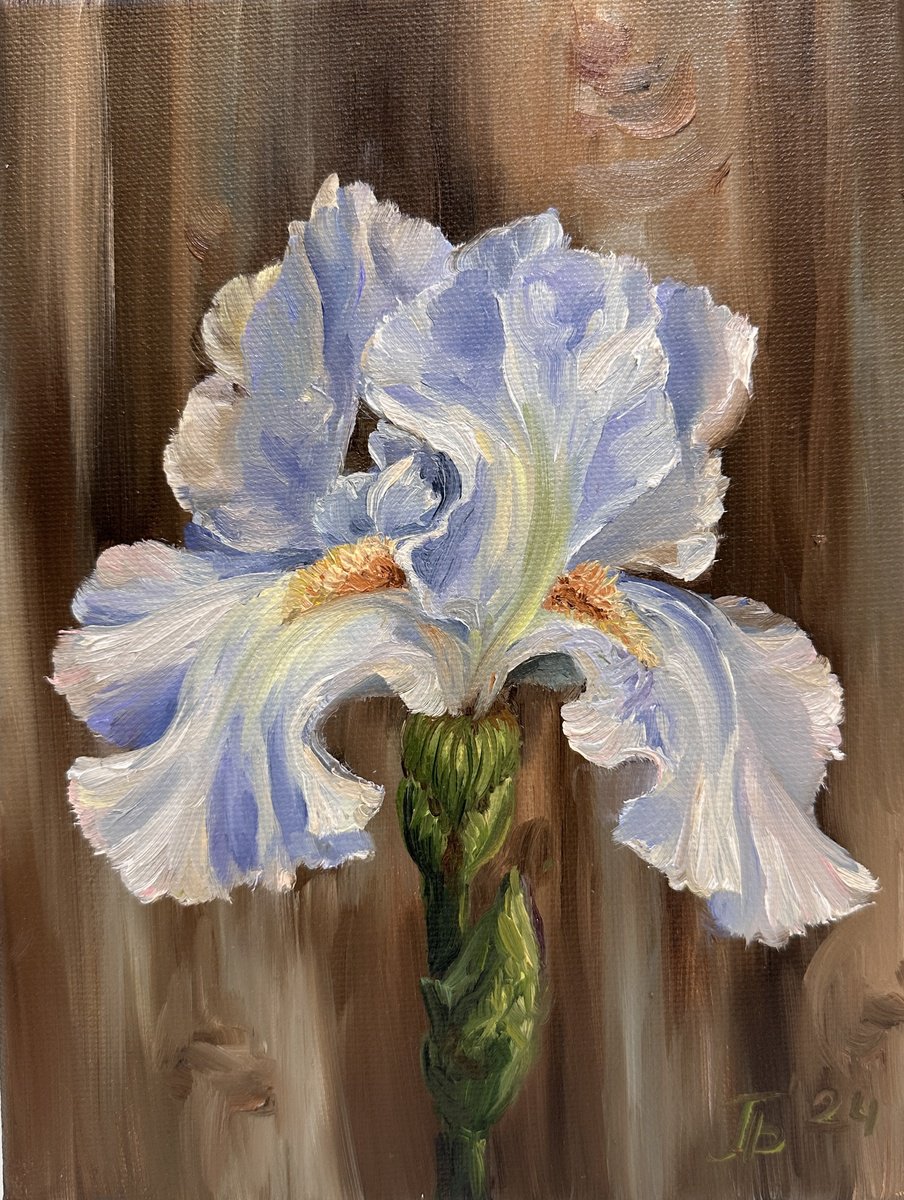 Solar iris.Miniature by Larisa Batenkova