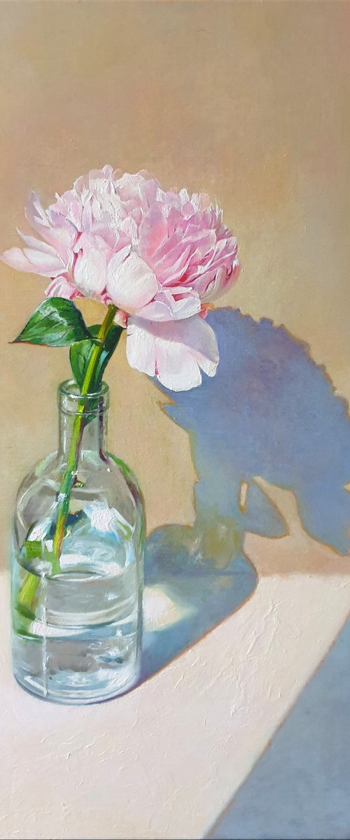 "Morning peony." still life peony pink summer  white liGHt original painting  GIFT (2020) by Anna Bessonova (Kotelnik)