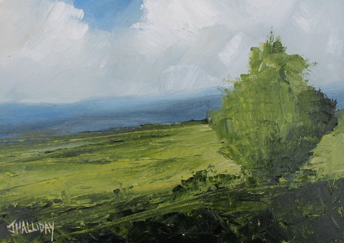 One Tree, Irish Landscape 2023 by John Halliday