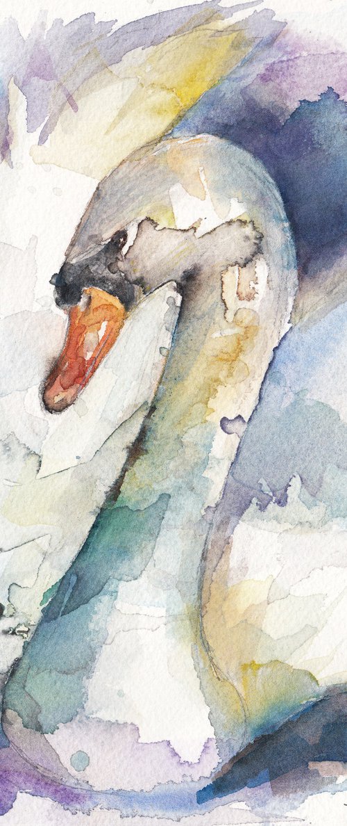 The Swan by Jennifer Day