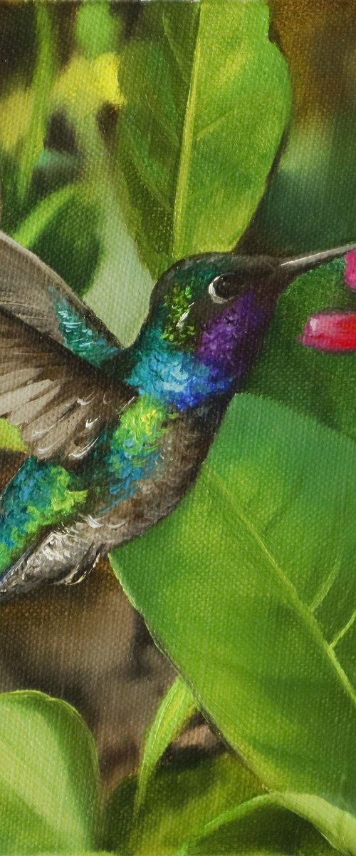 Tropical Hummingbird by Natalia Shaykina