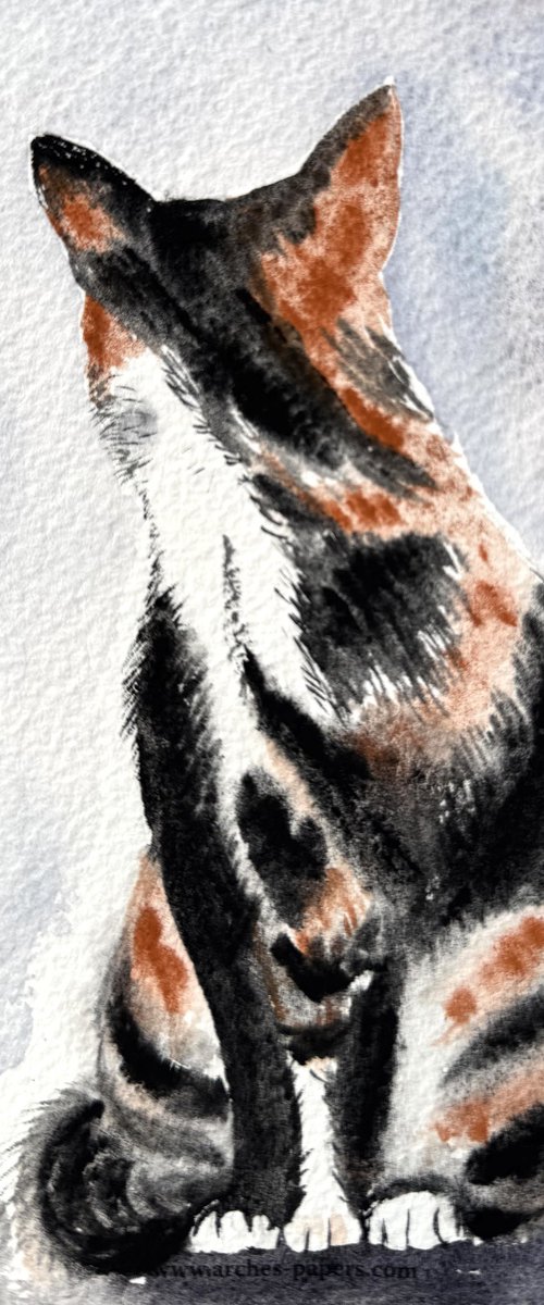 Black White Red Cat by Yuliia Sharapova