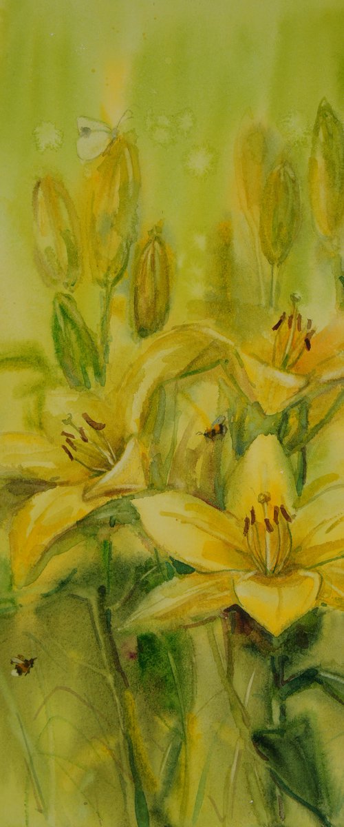 Yellow lilies by Elena Sanina