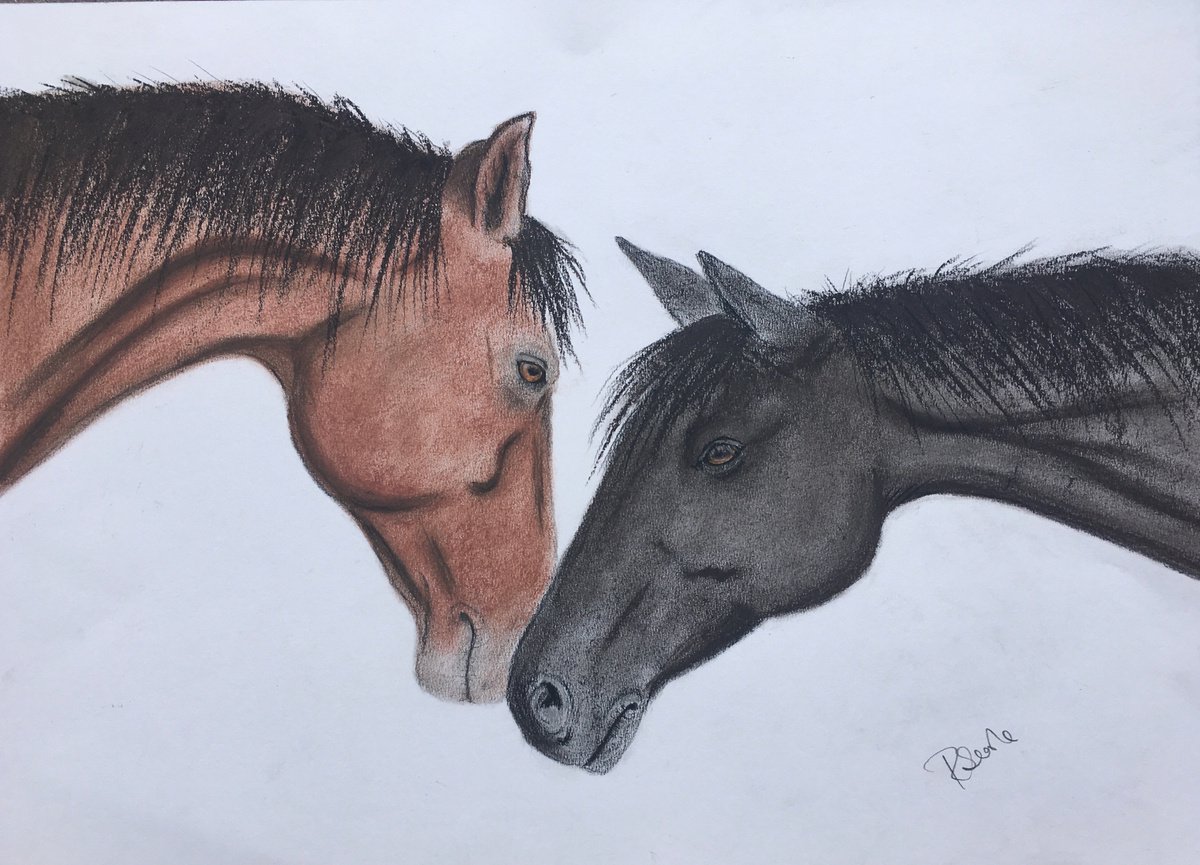 Horse friendship by Ruth Searle