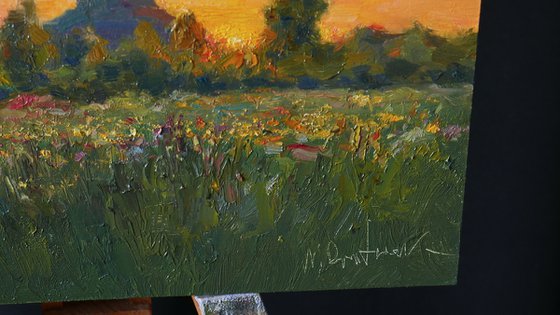 Sunset Over The Meadow