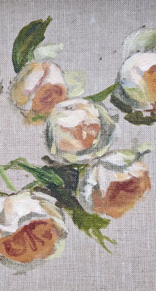 Garden roses - original oil painting - flower art by Anna Brazhnikova