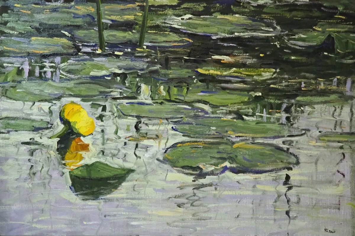 Water Lilies By Yuanyuan Liu, 35 X 24, Artwork For Sale On Artfinder