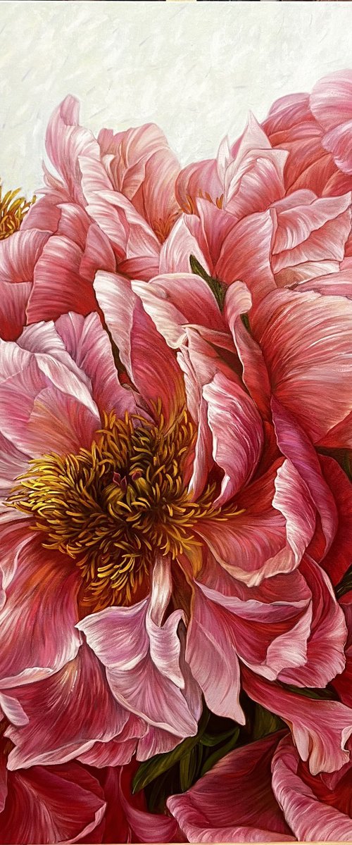 Composition of red peonies by Elena