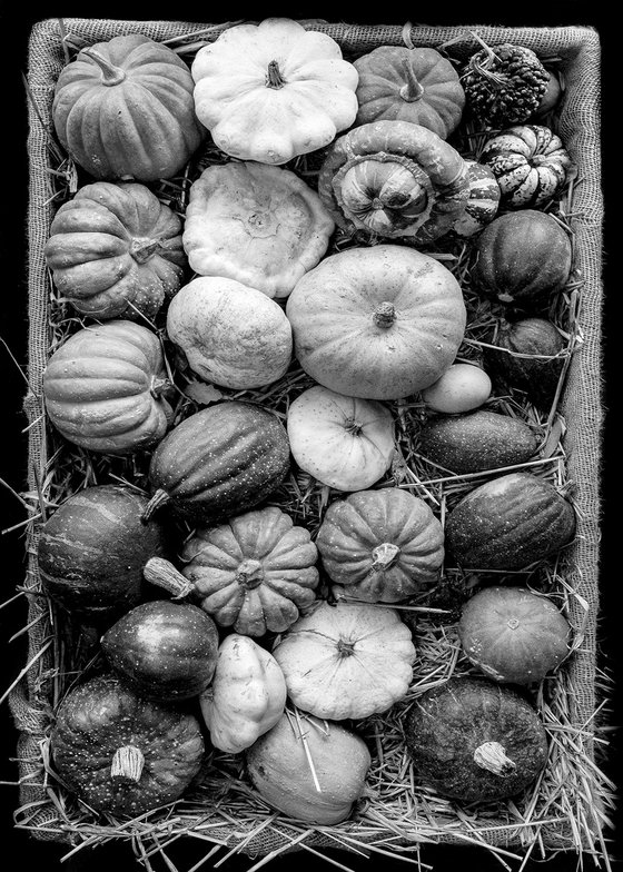 English Squash Basket