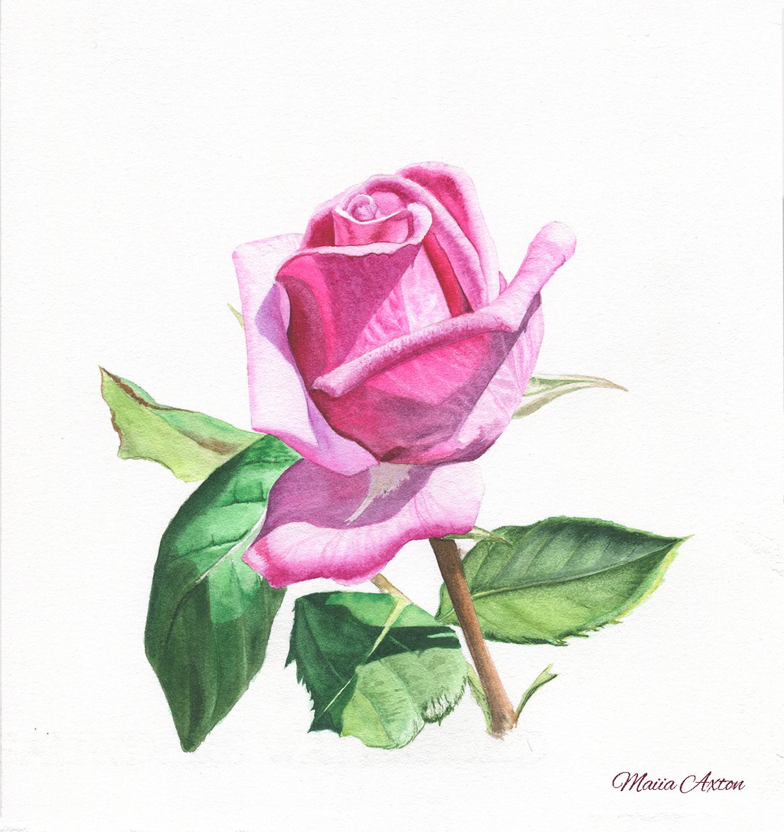 ROSE by Maiia Axton Studio