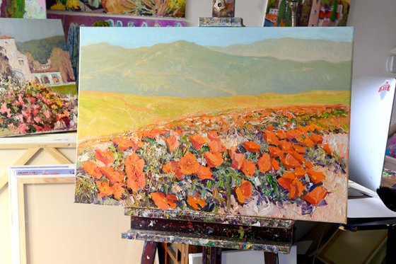 California Poppy