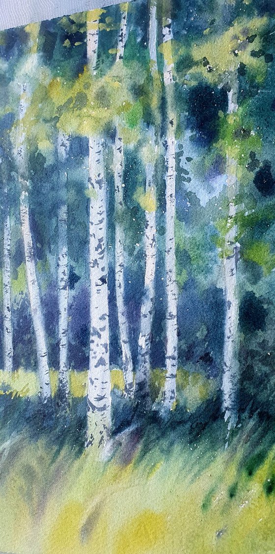 Landscape of birch grove