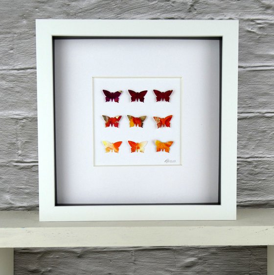 9 Orange and gold butterflies