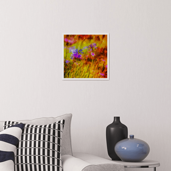 Summer Meadows #9. Limited Edition 1/25 12x12 inch Abstract Photographic Print.