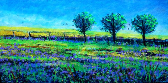 Selborne Lavender Fields II