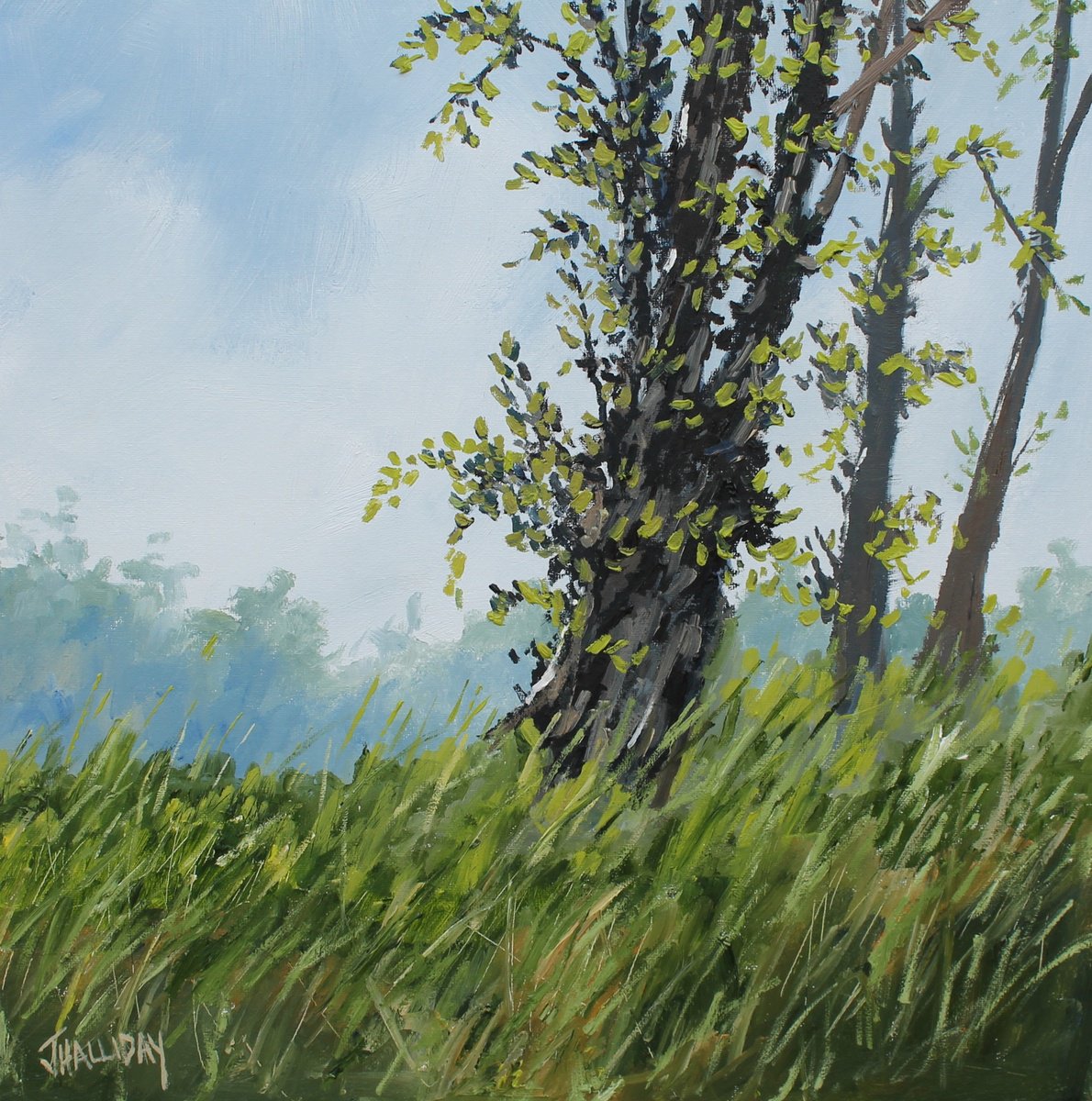 Impressionistic Landscape Oil Painting By John Halliday, 16 X 16, Signs Of Spring, Original Artwork