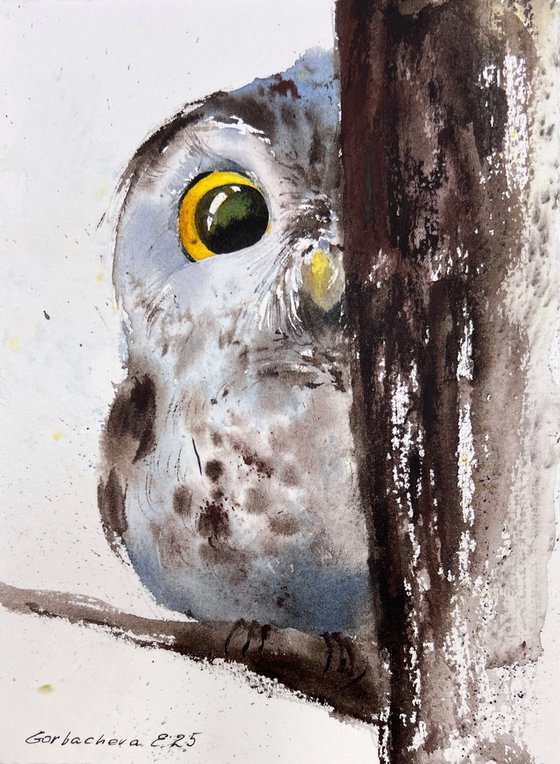 Owl in Hiding