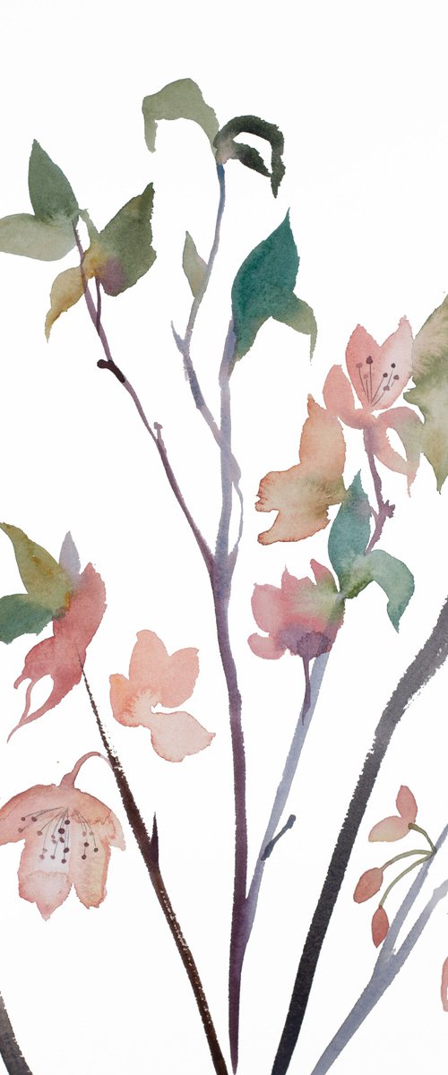 Cherry Blossom No. 26 by Elizabeth Becker